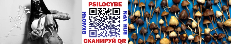 площадка формула  Александровское  Псилоцибиновые грибы Psilocybine cubensis 
